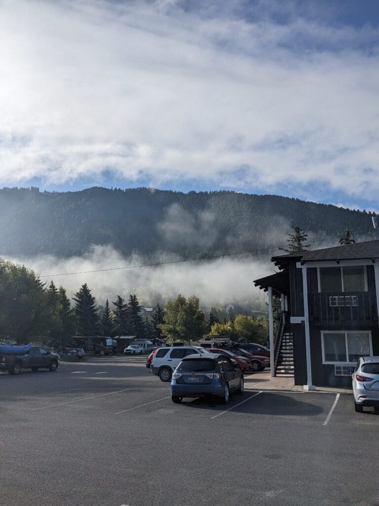 a parking lot with cars and trees in the background