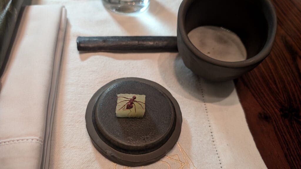 a red ant on a square object on a table