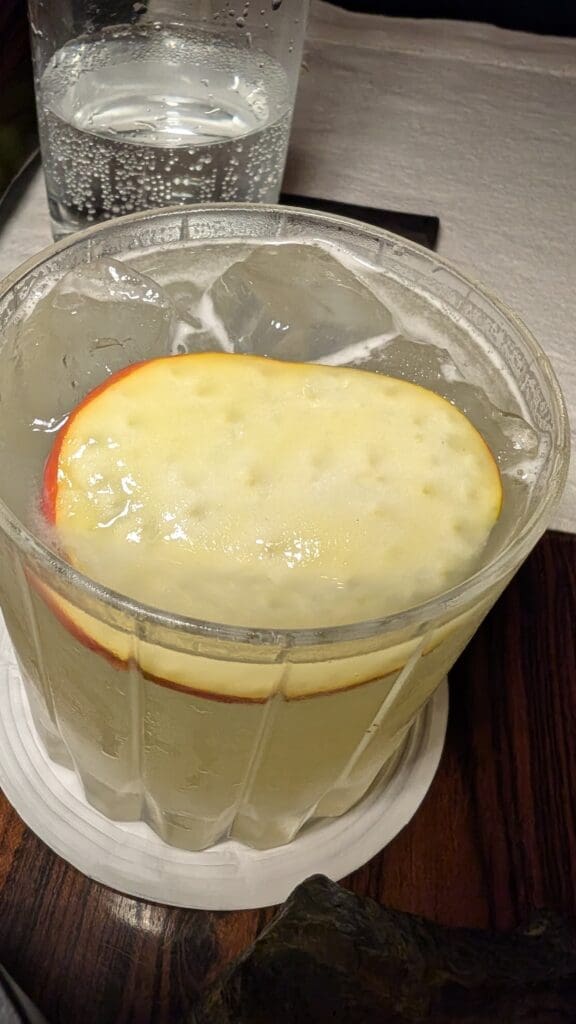 a glass with ice and a slice of apple in it