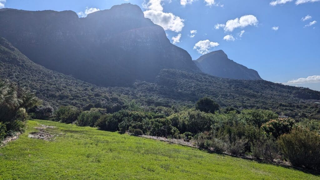 a grassy field with trees and mountains in the background