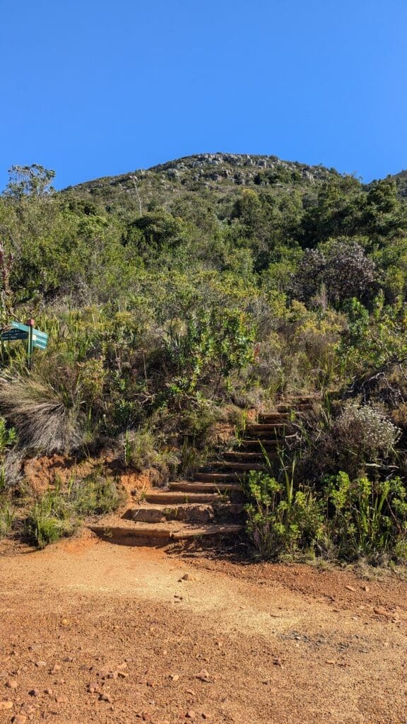 a stairs leading up to a hill