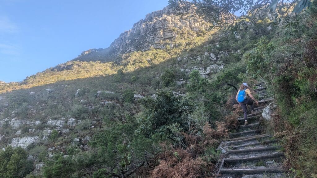 a person on a staircase in a mountain