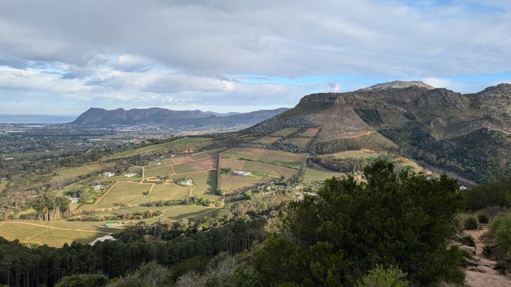 a landscape of a valley with trees and mountains