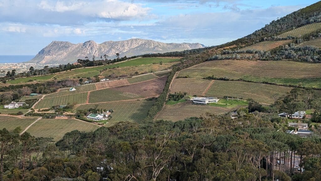 a landscape with trees and mountains in the background