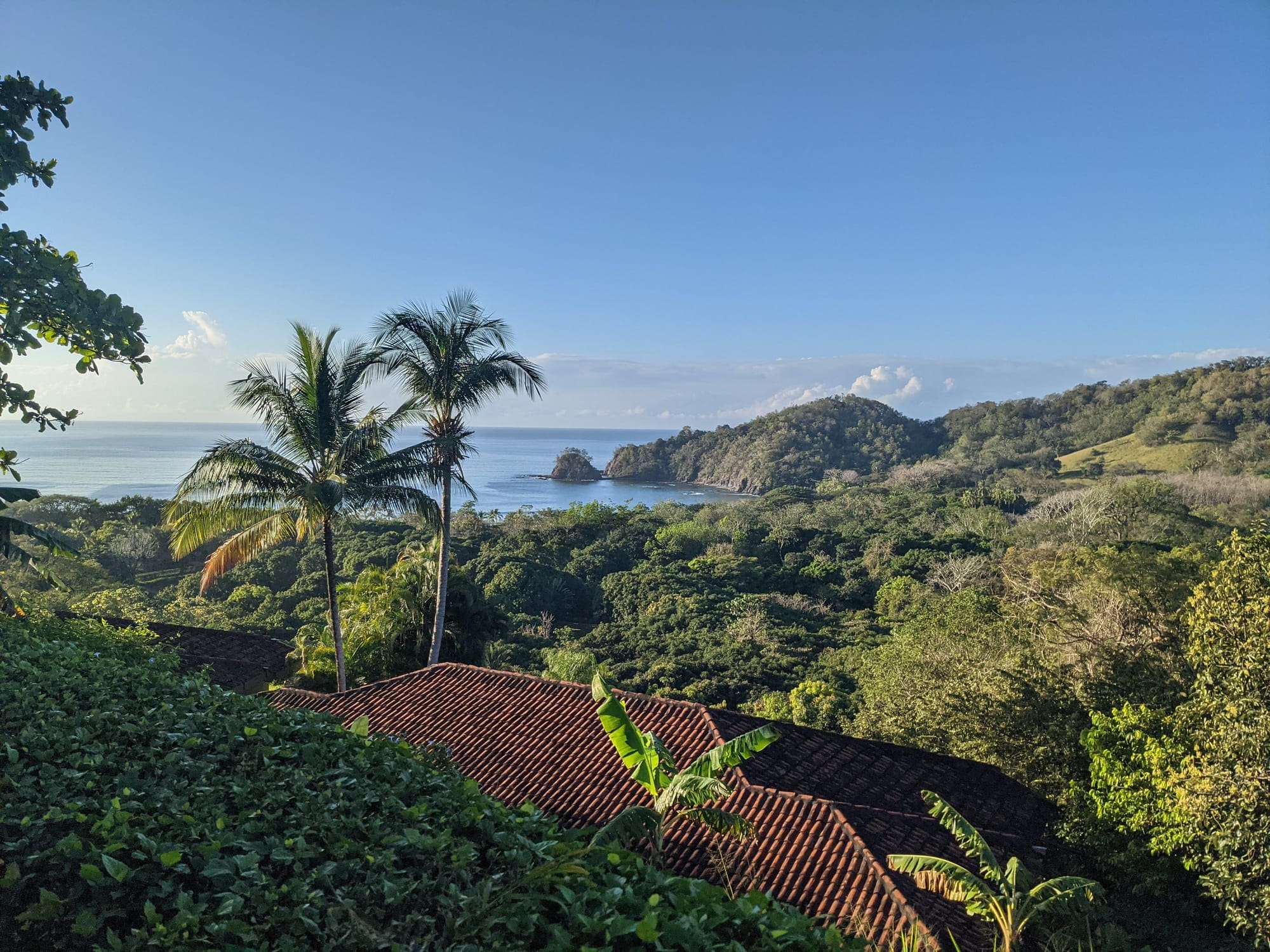 a view of a tropical forest from a hill