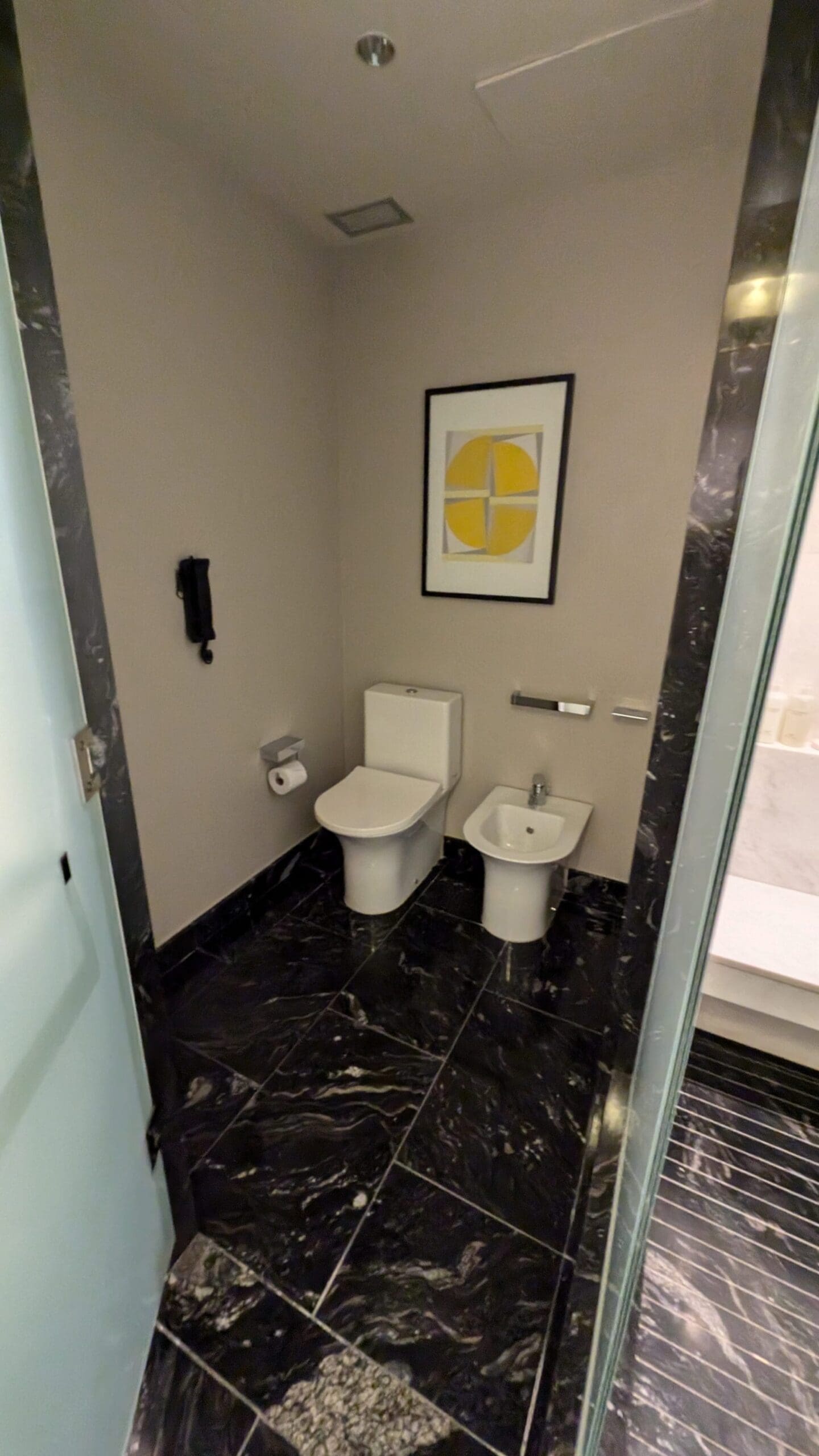 a bathroom with a toilet and sink