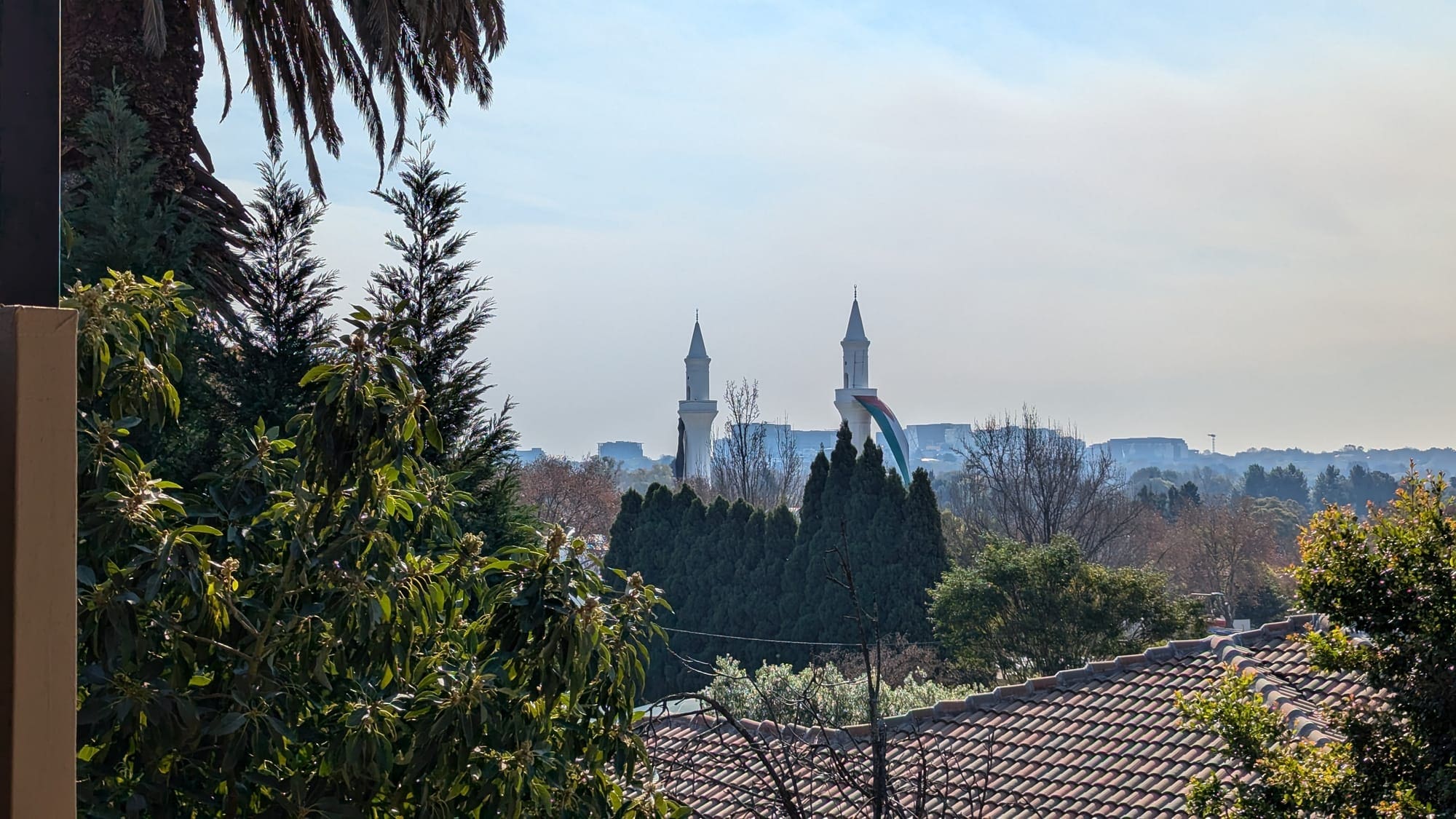 a group of trees and buildings