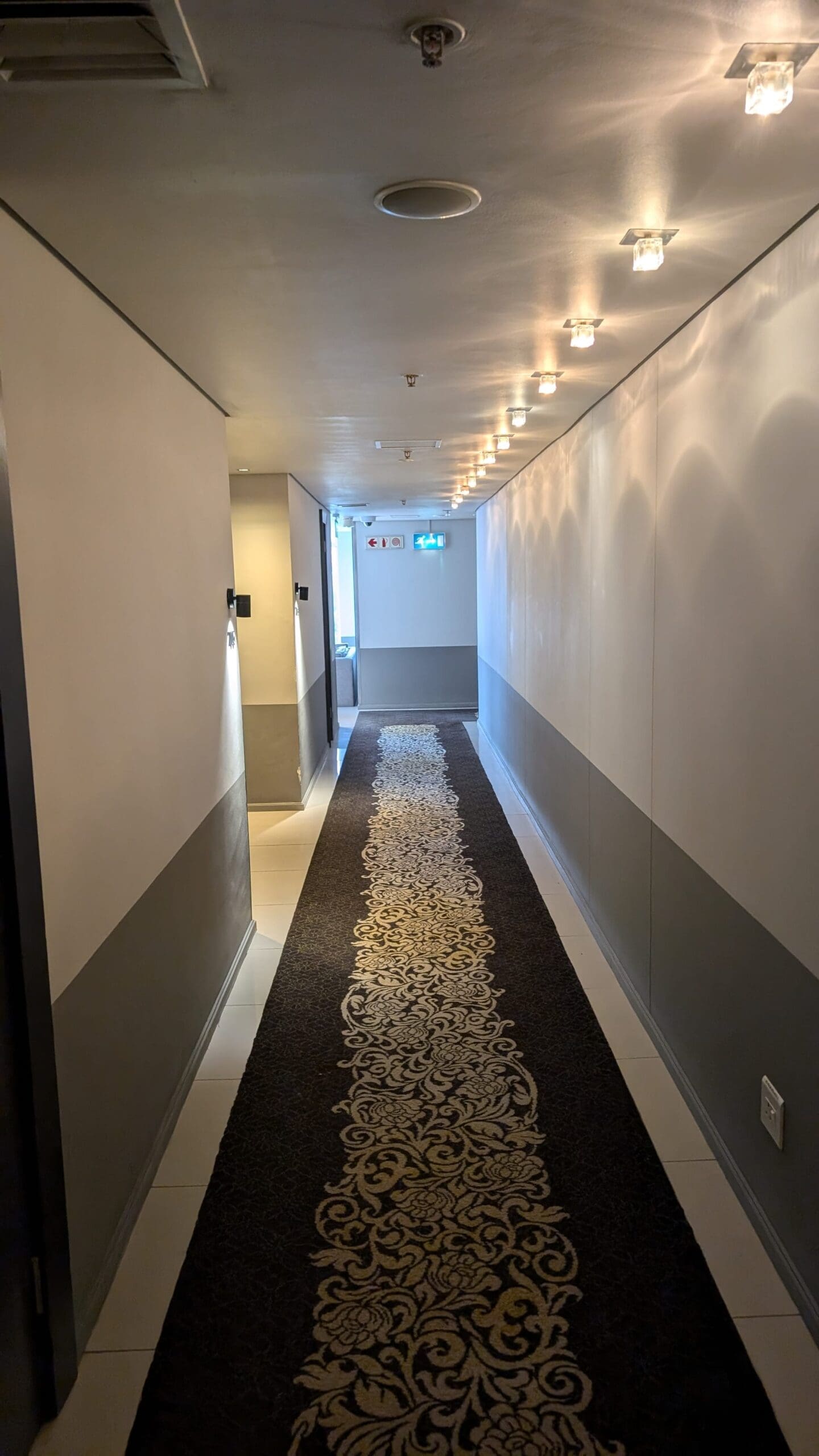 a hallway with a carpet on the wall