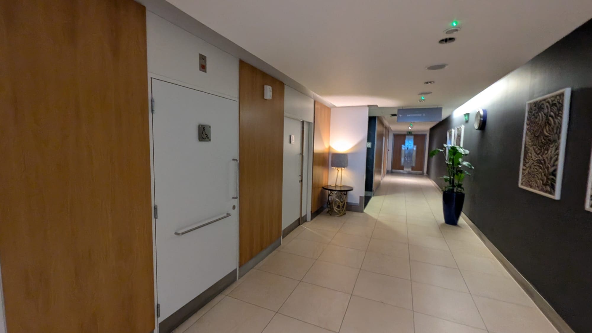 a hallway with doors and a plant