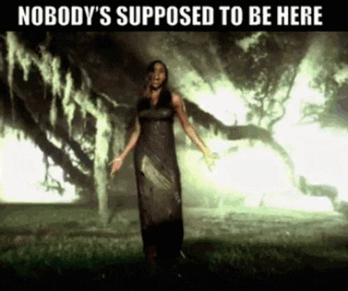 a woman in a long dress