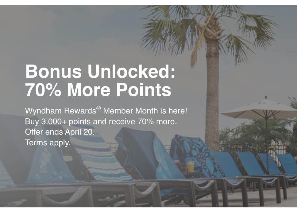 a group of chairs and a palm tree