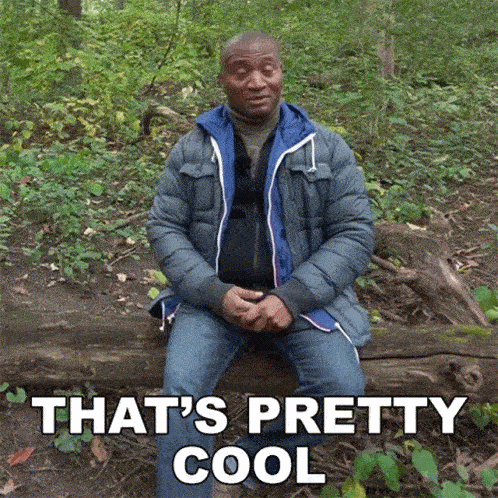 a man sitting on a log in the woods