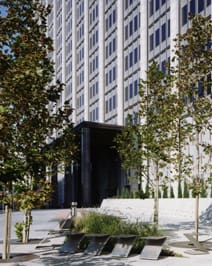 a building with many windows