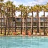 a pool with palm trees and chairs