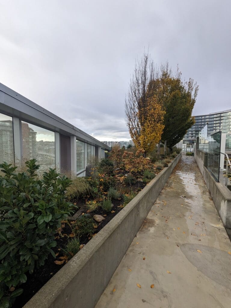 a walkway with plants and trees on it