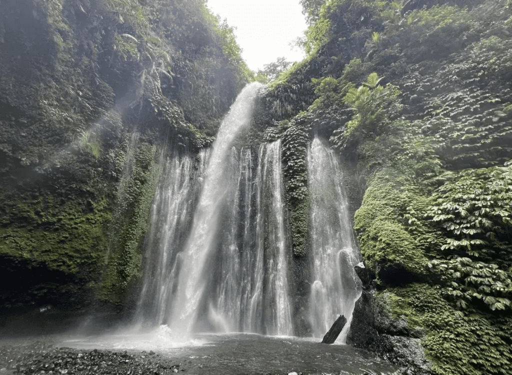 a waterfall in a forest