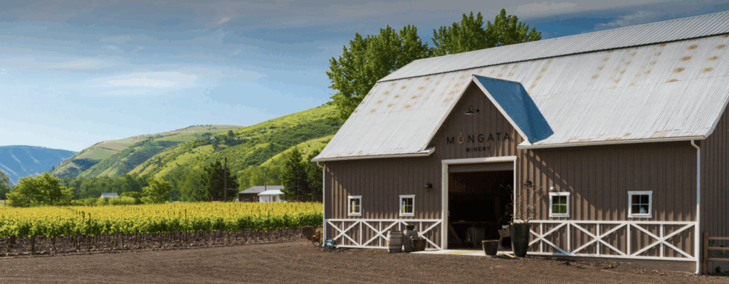a barn with a vineyard in the background