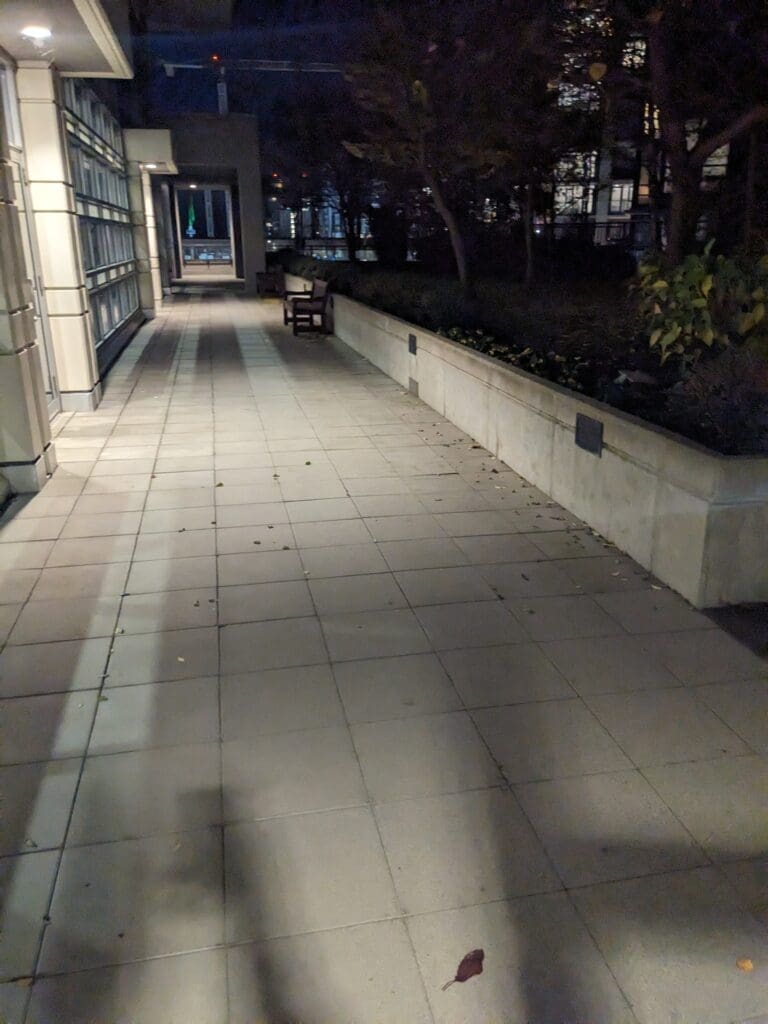 a walkway with a bench and trees