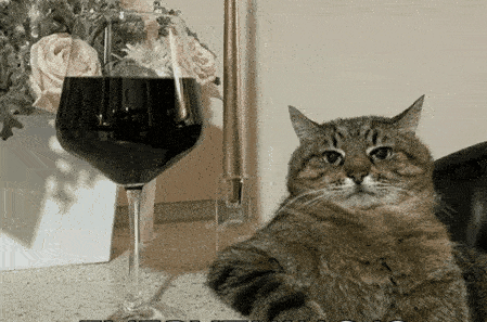 a cat sitting on the floor next to a glass of wine