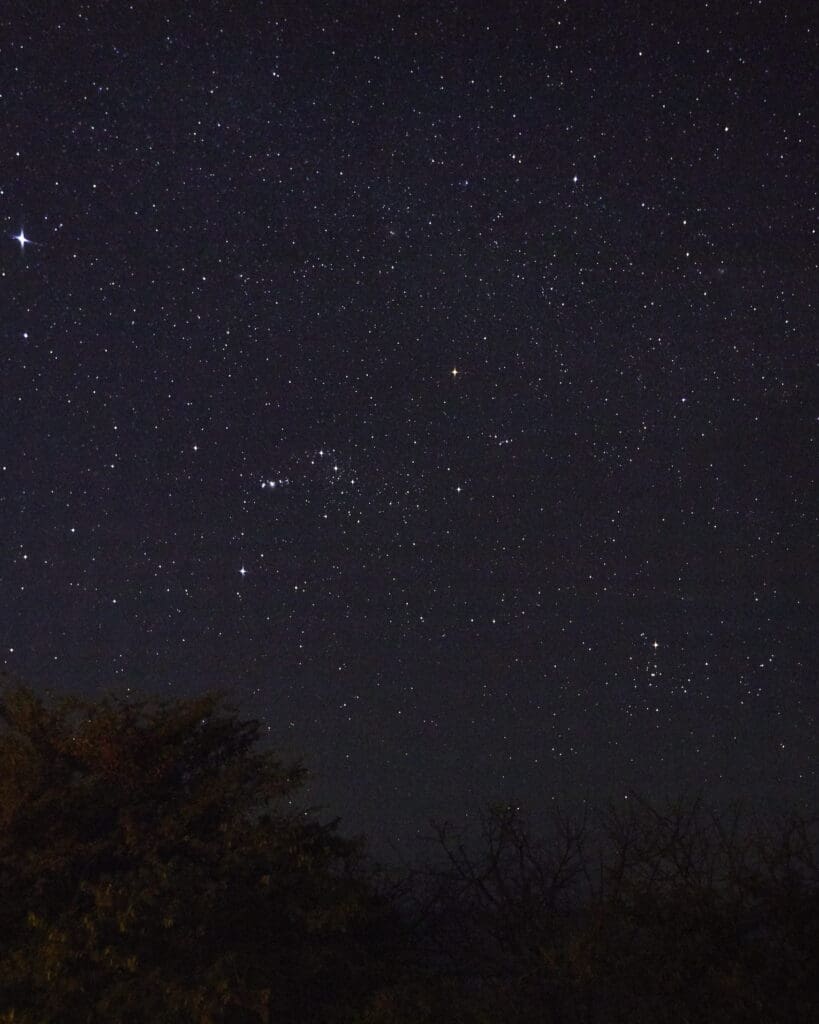 stars in the sky at night