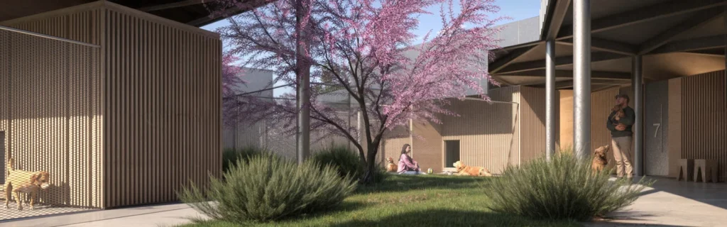 a woman sitting on a lawn with a dog and a ball