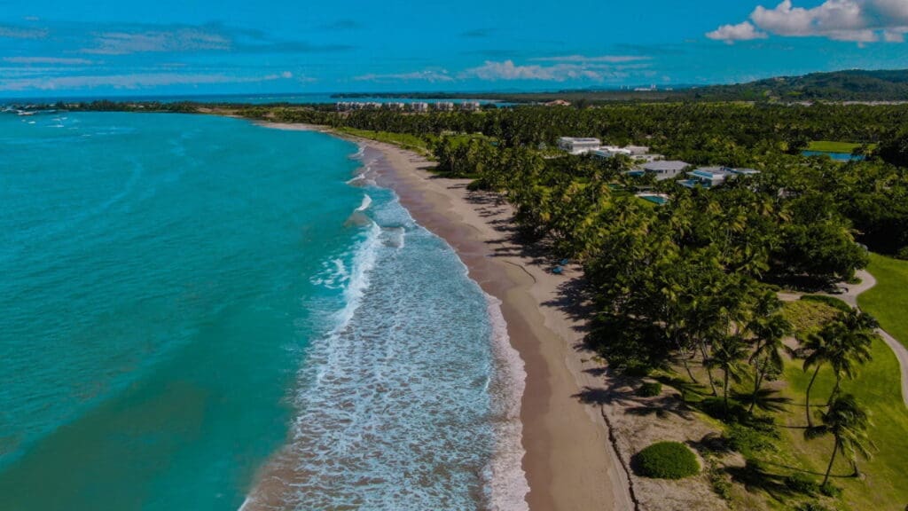 the beach with palm trees and a body of water at the Four Seasons Puerto Rico
