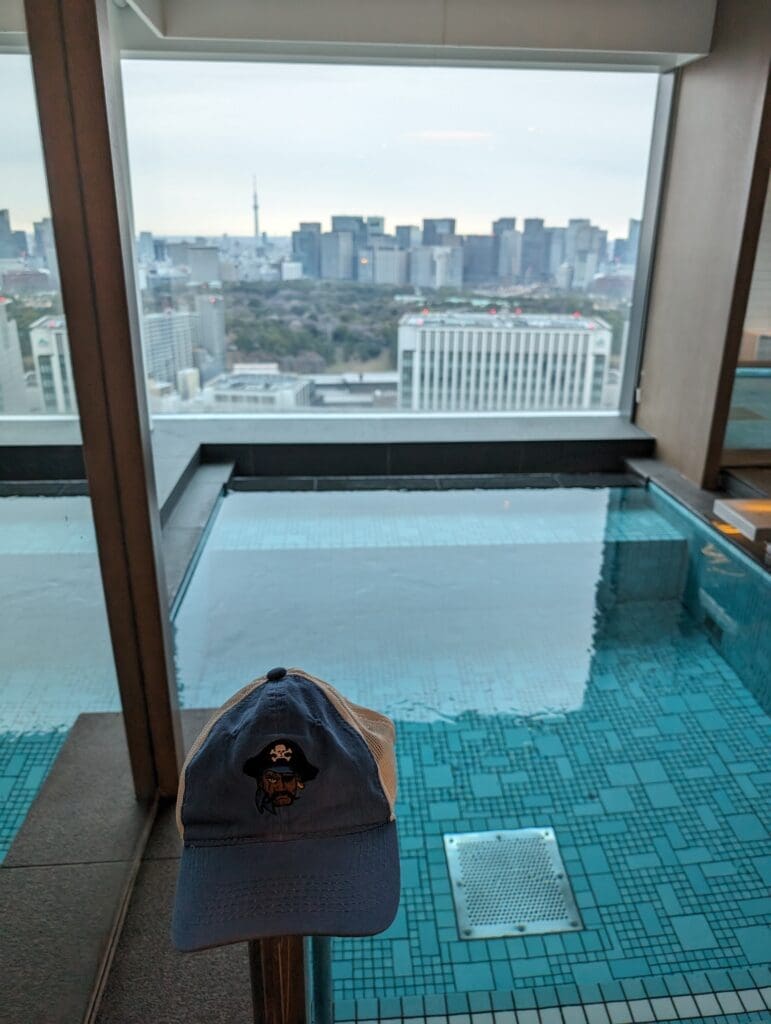 a pool with a view of a city in the distance at the Prince Kioicho Tokyo