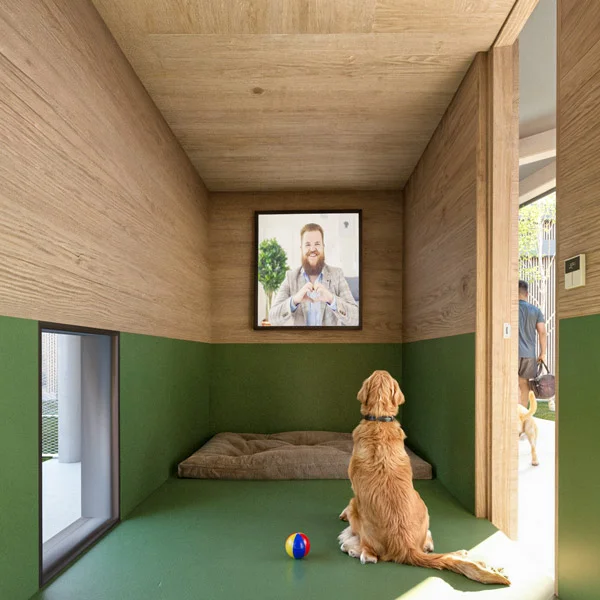 a dog sitting on a green floor
