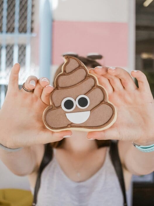 a person holding a poop cookie