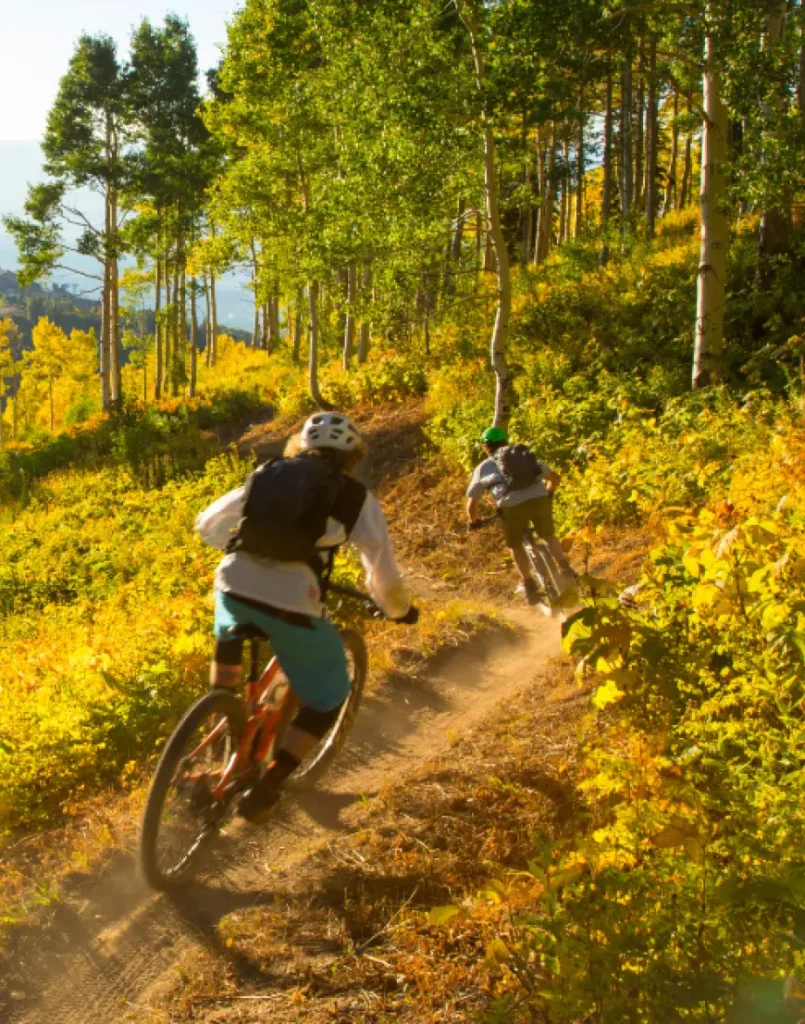 a group of people riding bikes on a trail in the woods
