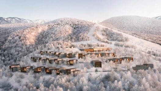 a group of houses in a snowy landscape