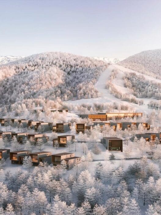 a group of houses in a snowy landscape