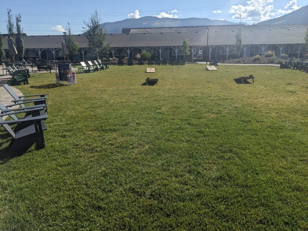 a lawn with chairs and benches in it