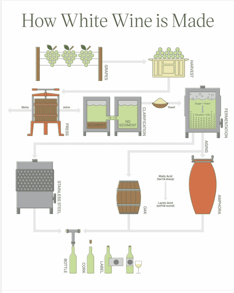 a diagram of a wine production process