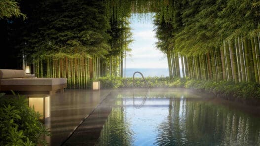 a pool with a body of water surrounded by trees