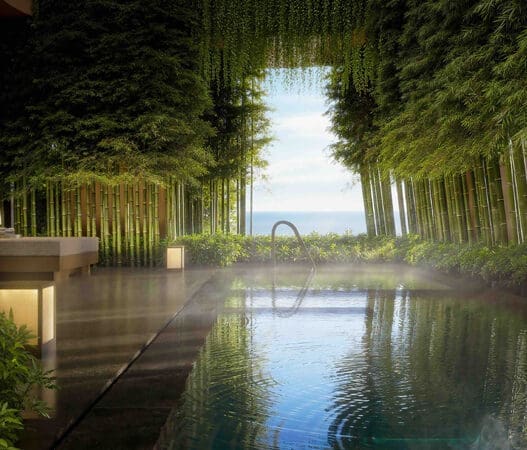 a pool with a body of water surrounded by trees