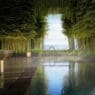 a pool with a body of water surrounded by trees