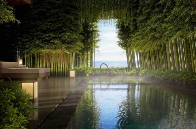 a pool with a body of water surrounded by trees