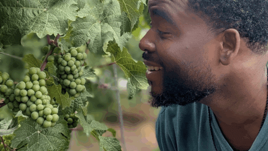 a man looking at a bunch of grapes