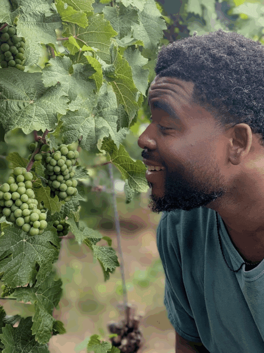 a man looking at a bunch of grapes