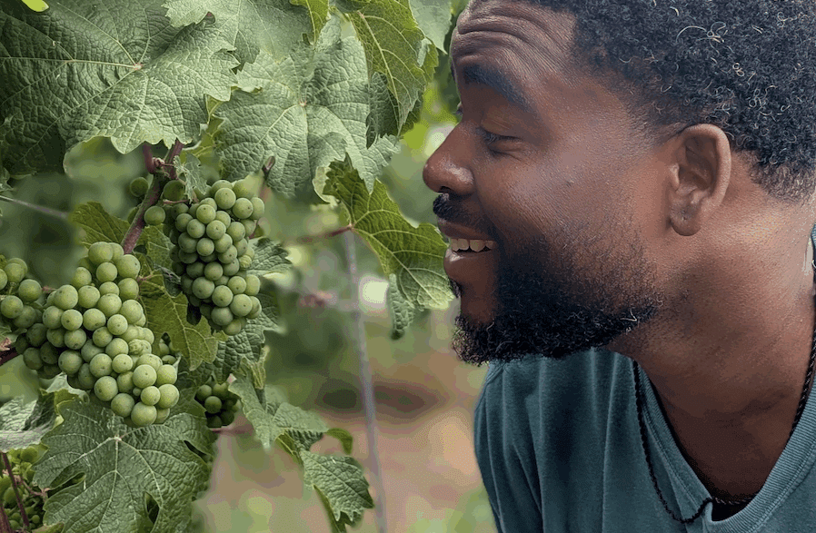 a man looking at a bunch of grapes