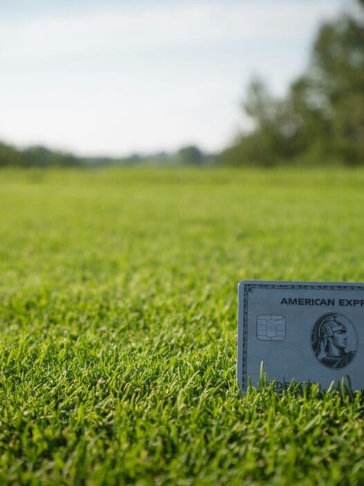 a card in the grass