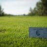 a card in the grass