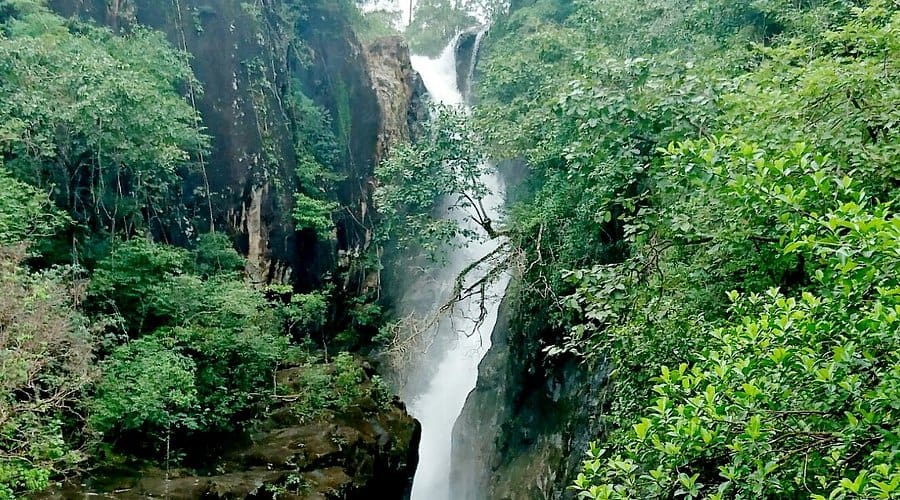 a waterfall in a forest