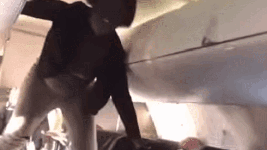 a person from the ceiling of an airplane