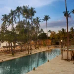 a pool with palm trees and a beach