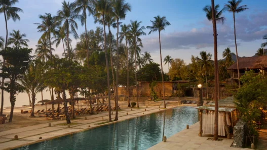 a pool with palm trees and a beach