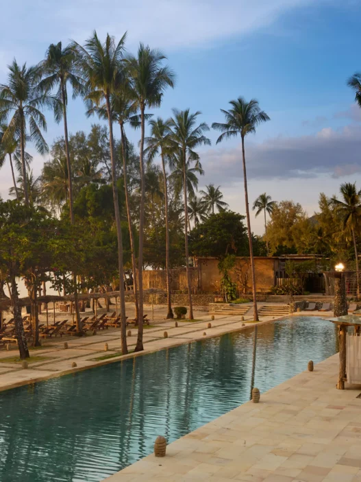 a pool with palm trees and a beach