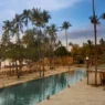 a pool with palm trees and a beach