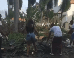 a group of people picking up leaves